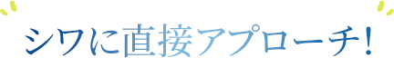 シワにアプローチ！